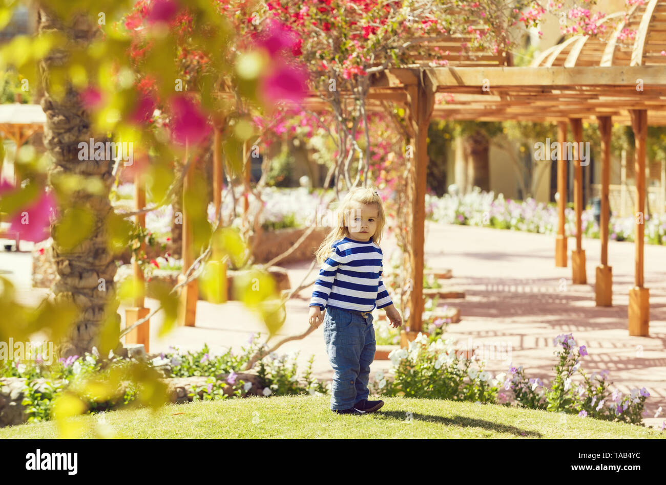 Cute baby boy standing on green grass in park Stock Photo - Alamy