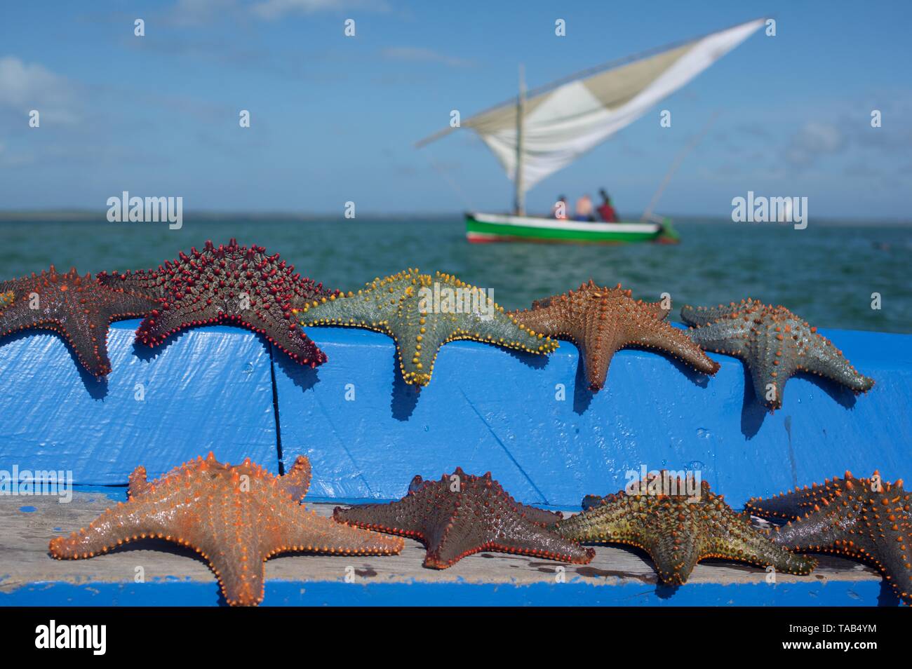 Starfish boat hi-res stock photography and images - Alamy
