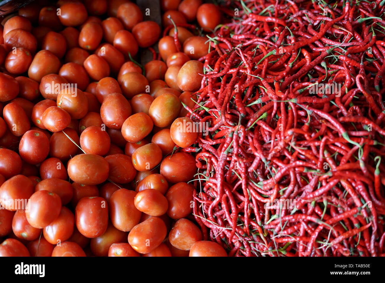 Group of Red hot chili pepper and a bunch of fresh red tomatoes at ...