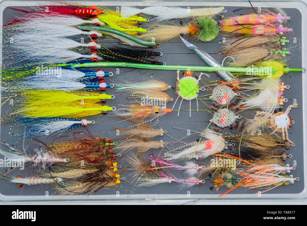 Saltwater fly fishing hi-res stock photography and images - Page