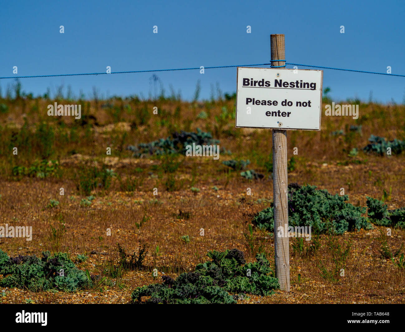 Warning Birds Nesting Please do not Enter sign at a Nature Reserve in Felixstowe Suffolk UK Stock Photo