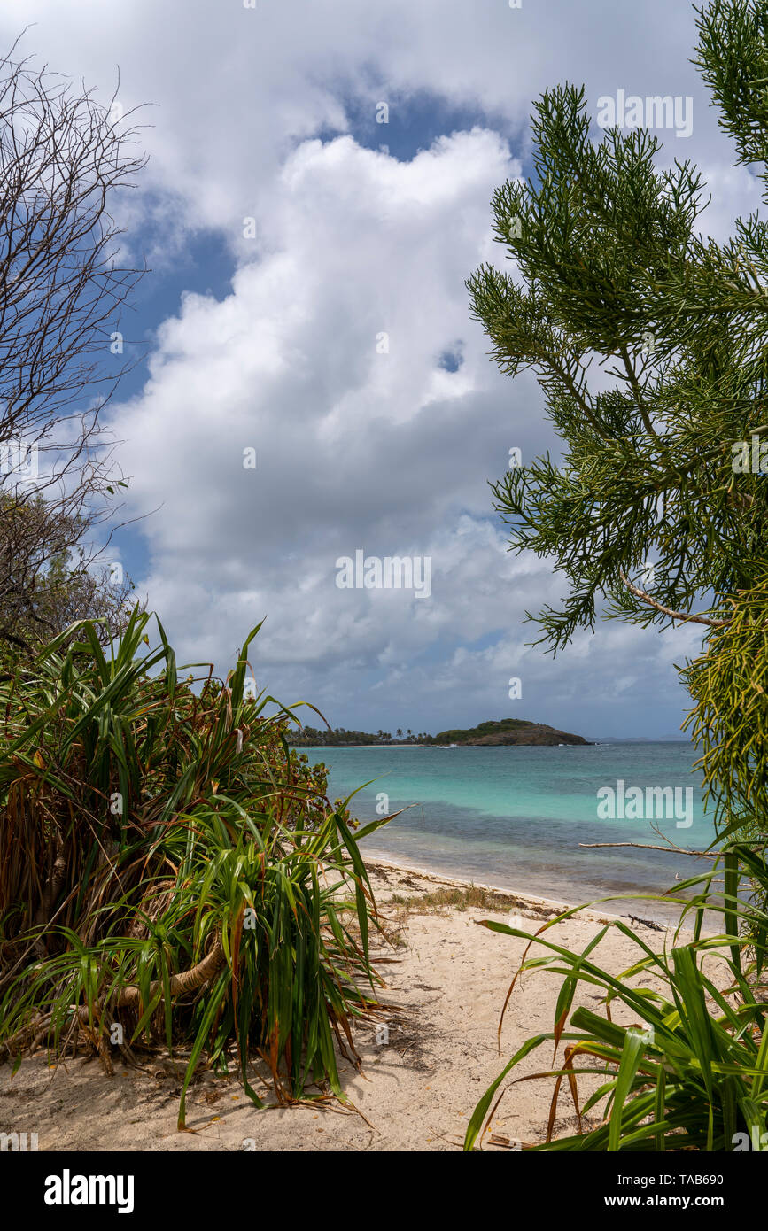 Mustique Island is an exclusive, paradise, getaway and Caribbean destination with a beautiful