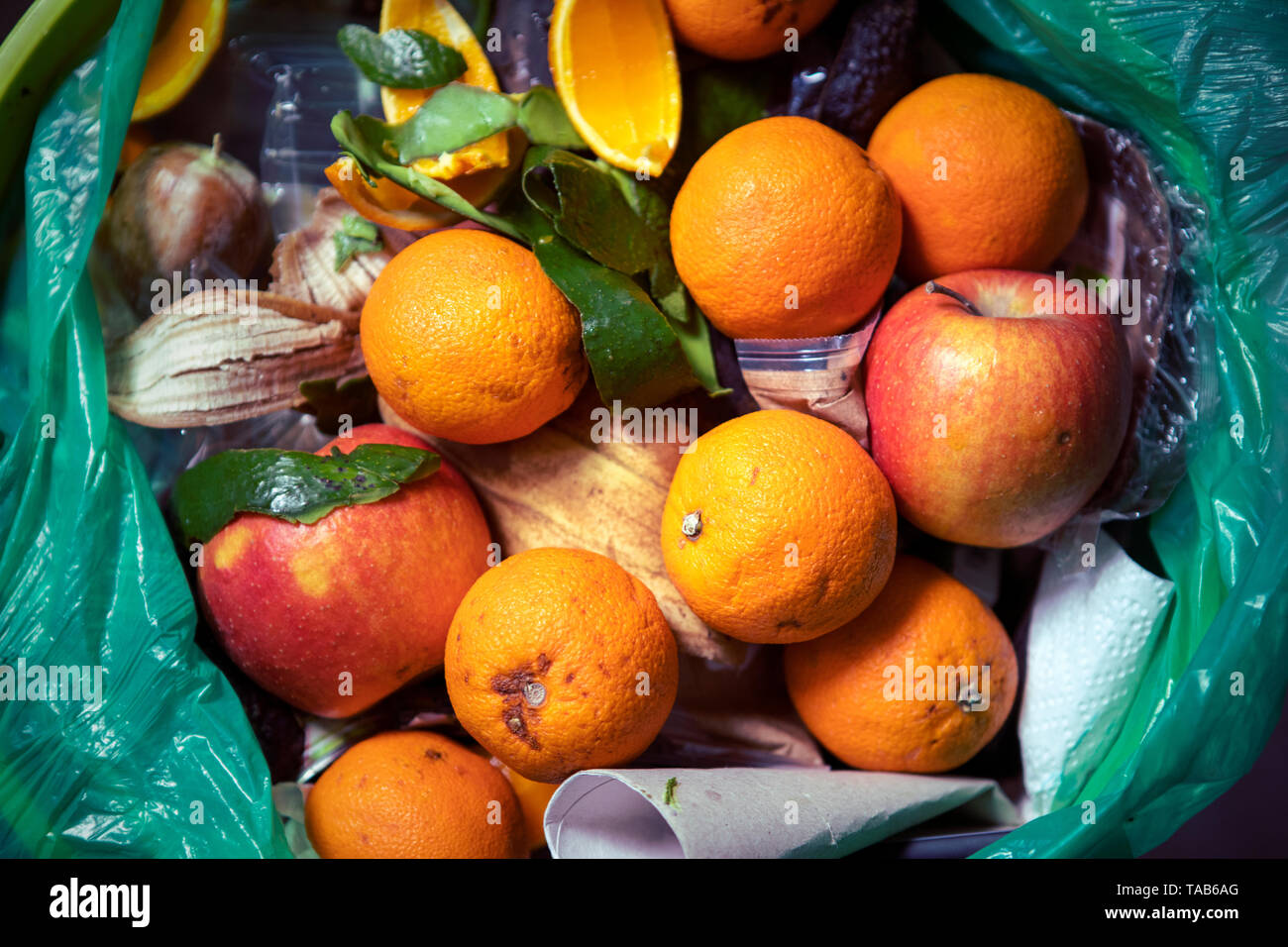 Food waste problem, leftovers Thrown into into the trash can. Spoiled food in refuse bin. Ecological issues. Concept of food waste reduction. Stock Photo