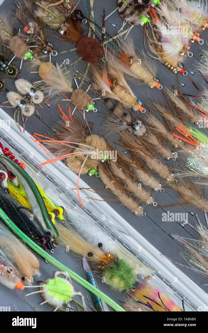 Saltwater fly fishing different fly fishing bugs in box Stock Photo Alamy