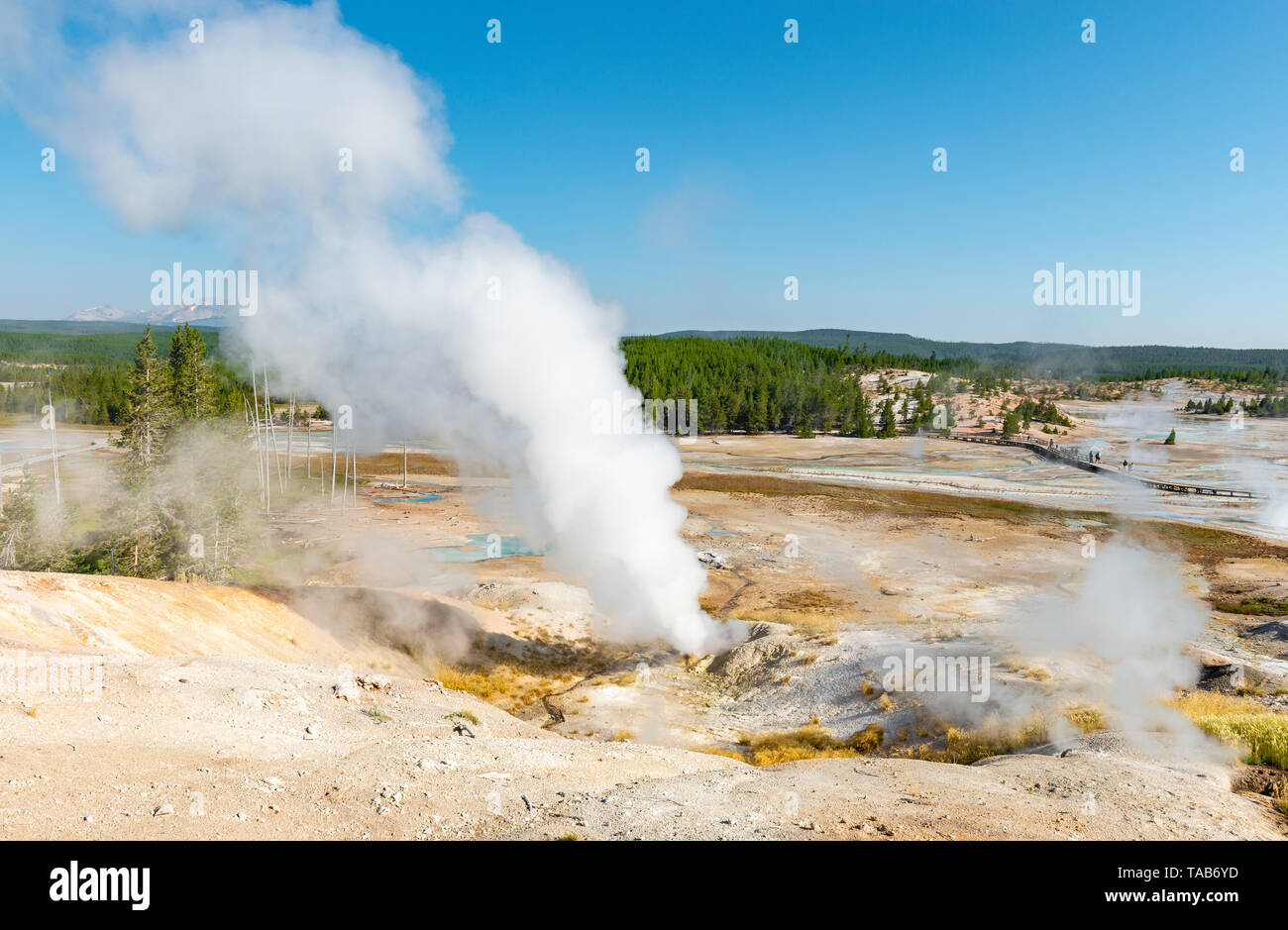 Fumarole With Vapor Trail In The Norris Geyser Basin Yellowstone fumarole-with-vapor-trail-in-the-norris-geyser-basin-yellowstone
