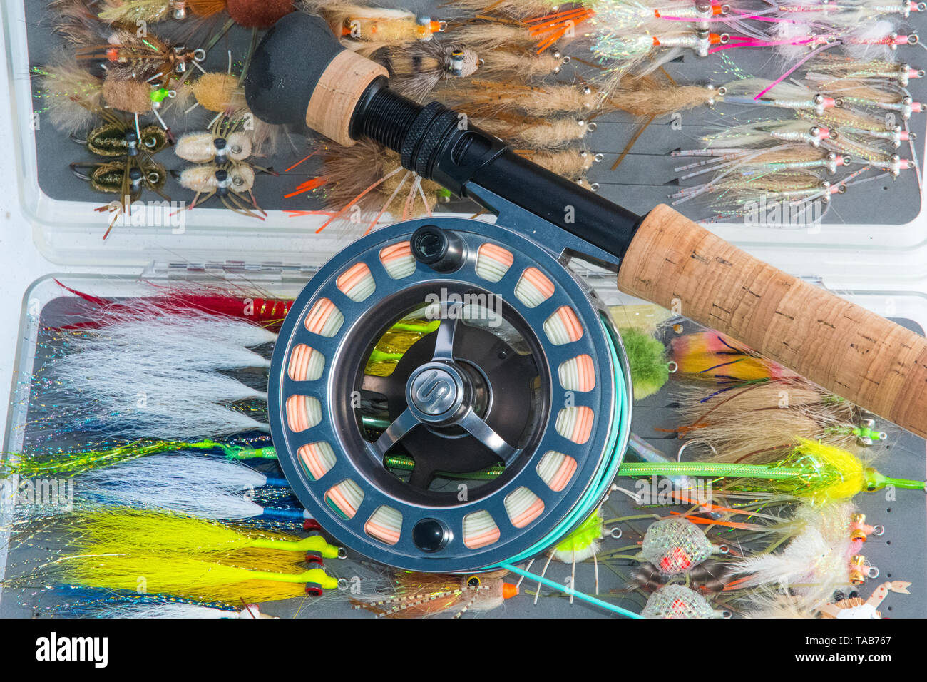 https://c8.alamy.com/comp/TAB767/saltwater-fly-fishing-flies-and-fly-rod-and-reel-TAB767.jpg