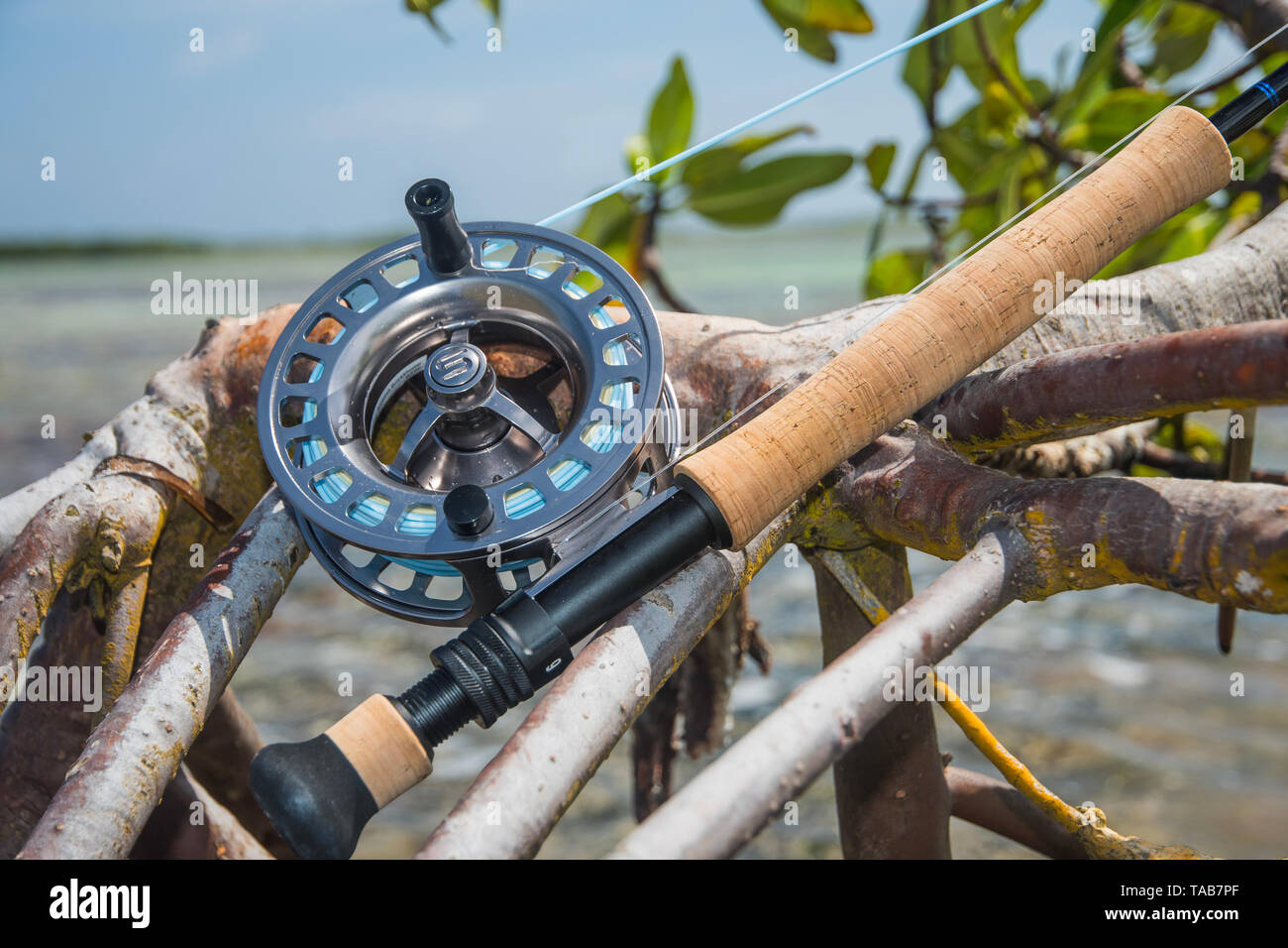 saltwater fly fishing rod in mangrove -Caribbean sea- los roques venezuela  Stock Photo - Alamy