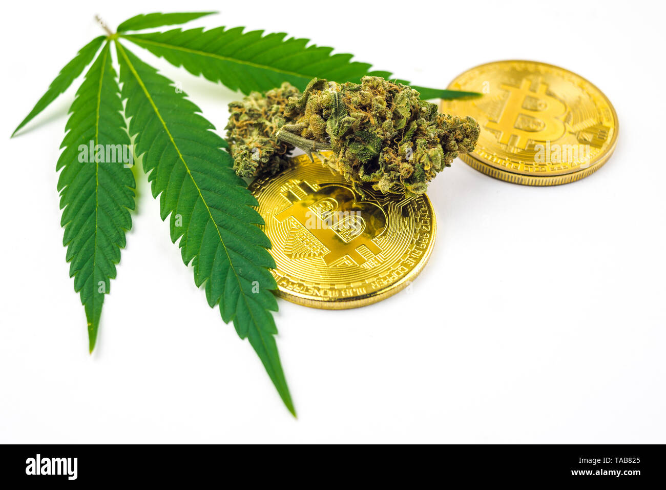 Green Cannabis Leaf, flower bud and Bitcoin Coin isolated on white Stock  Photo - Alamy