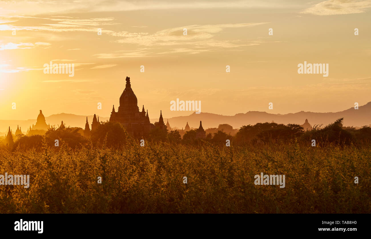 Buddhist temples in Bagan, Myanmar at sunset. Stock Photo