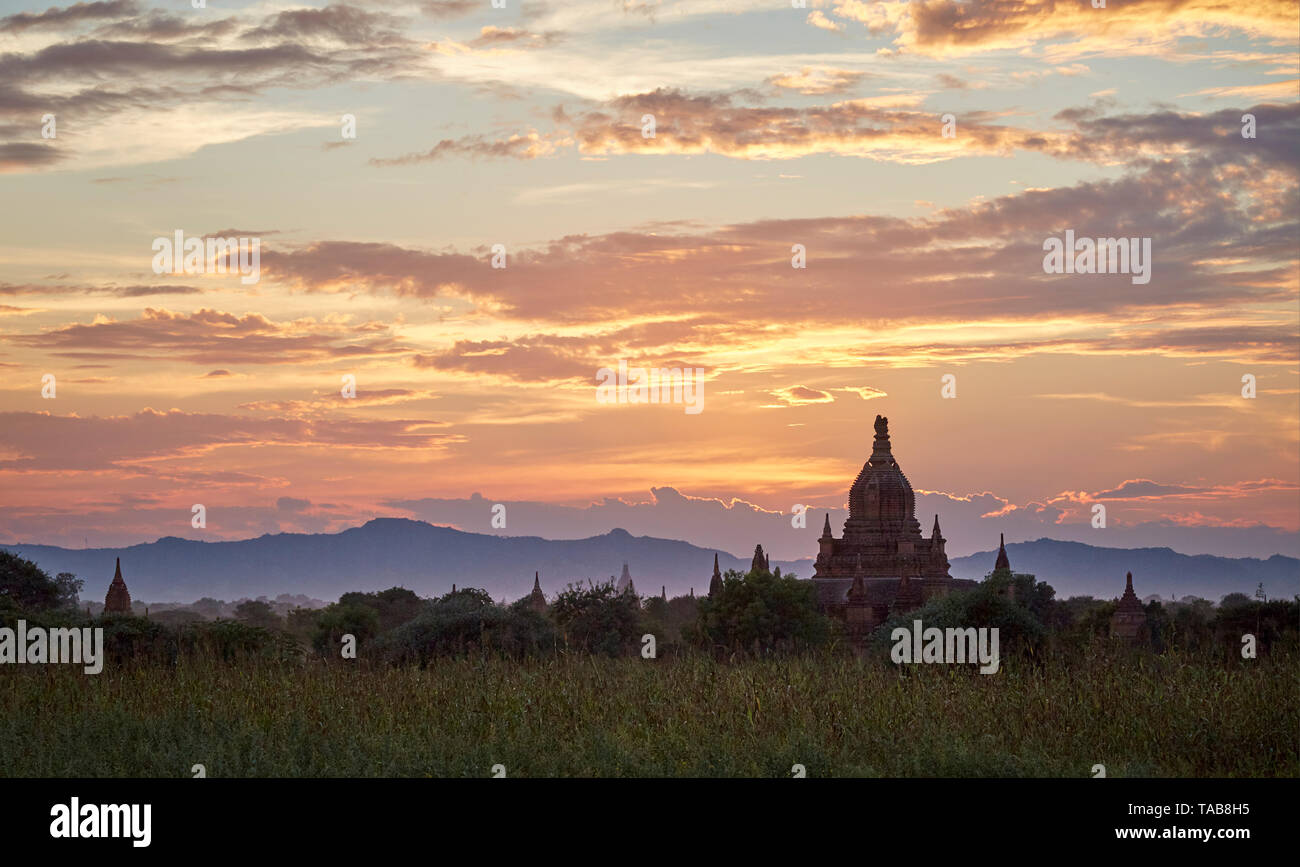 Buddhist temples in Bagan, Myanmar at sunset. Stock Photo