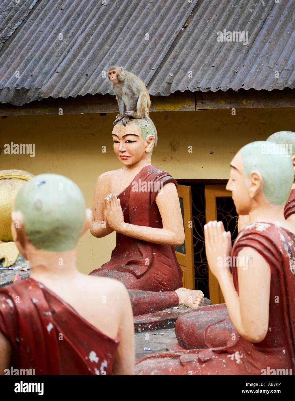 Monkey sits on head of Buddhist monk statue in Myanmar at Mt. Popa