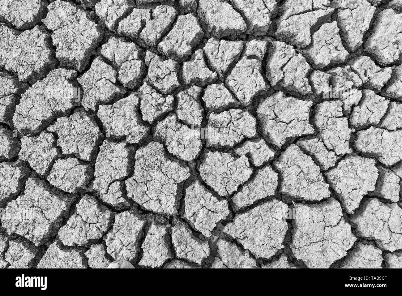 Dry cracked clay texture earth background Stock Photo