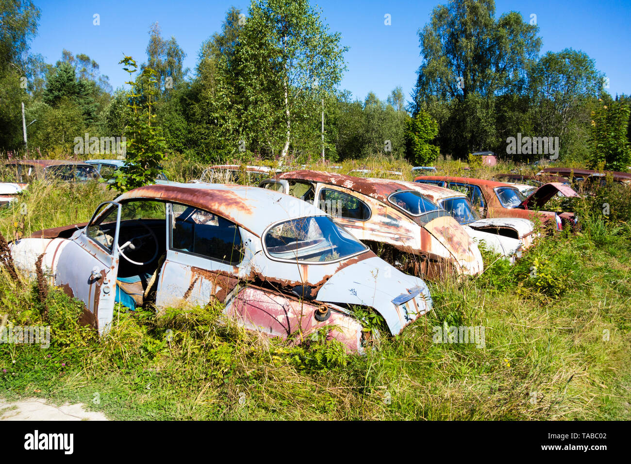 Wrecked oldtimer cars Stock Photo