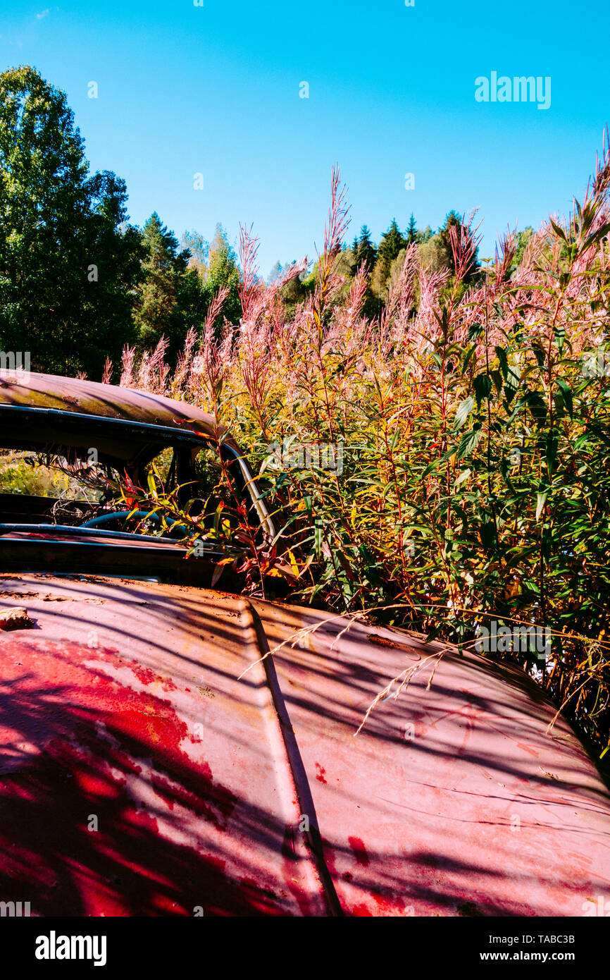 Overgrown car in a field hi-res stock photography and images - Alamy