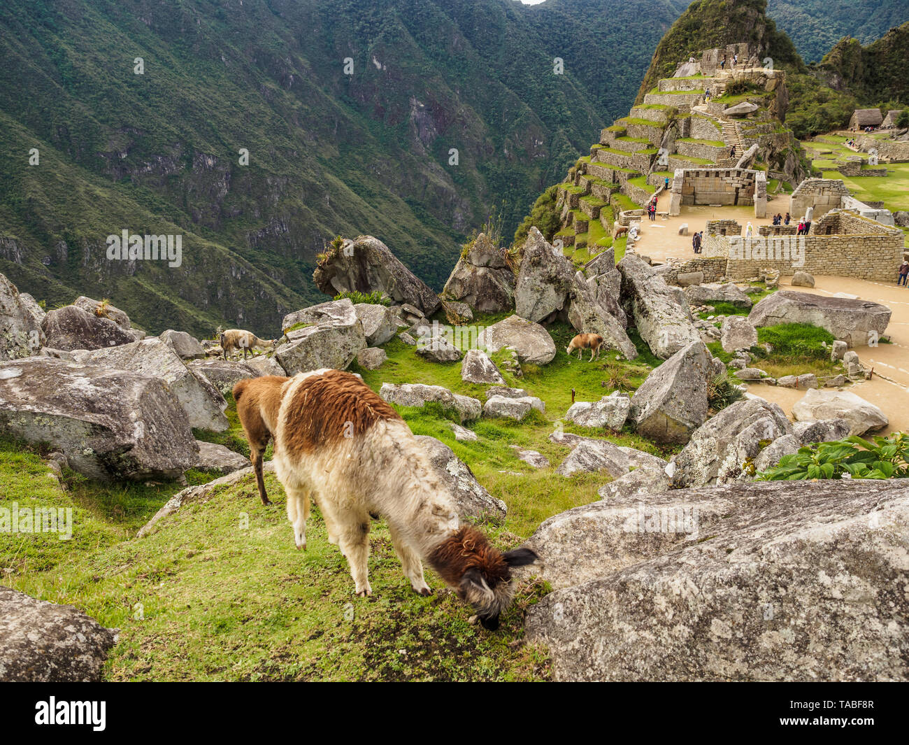 The lost Inca city of Machu Picchu in the Andes mountain range, Peru ...
