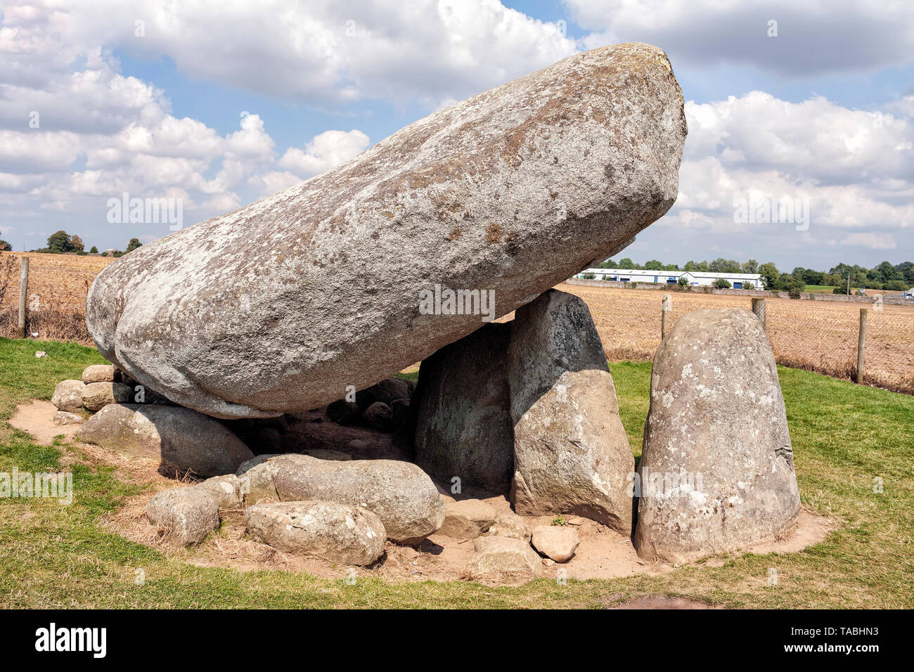 Impressive Brownshill Dolmen with a capstone weighing 150 rises on the field close to the town