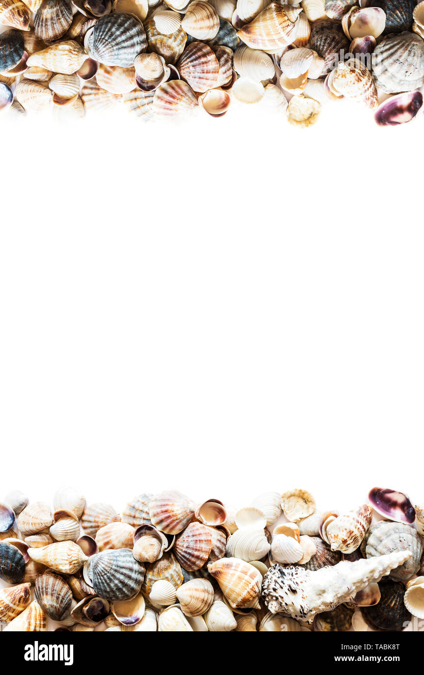 Background with different seashells on the sides and isolated in the ...