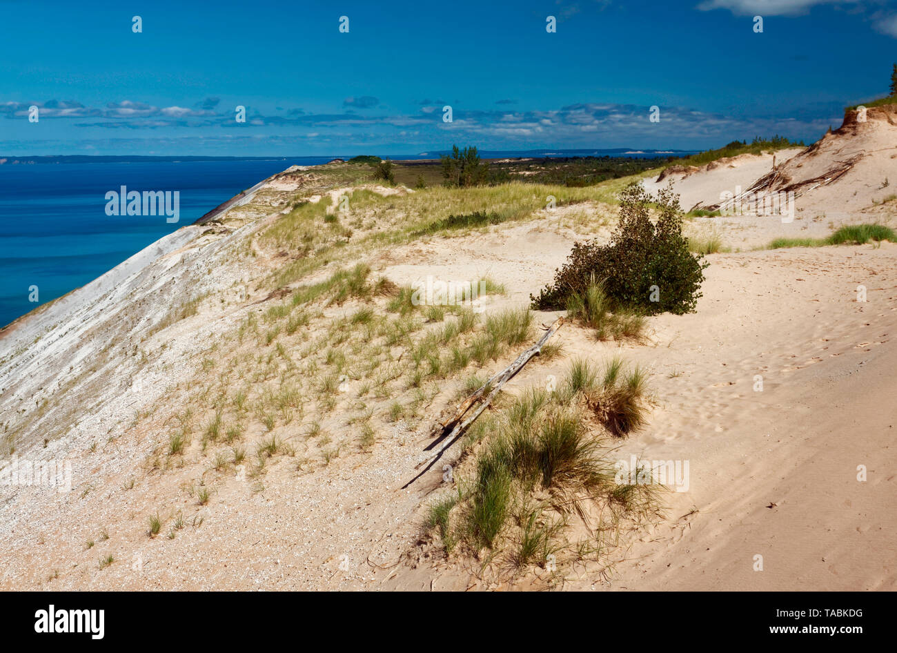 Are Dogs Allowed At The Sleeping Bear Dunes Scenic Drive