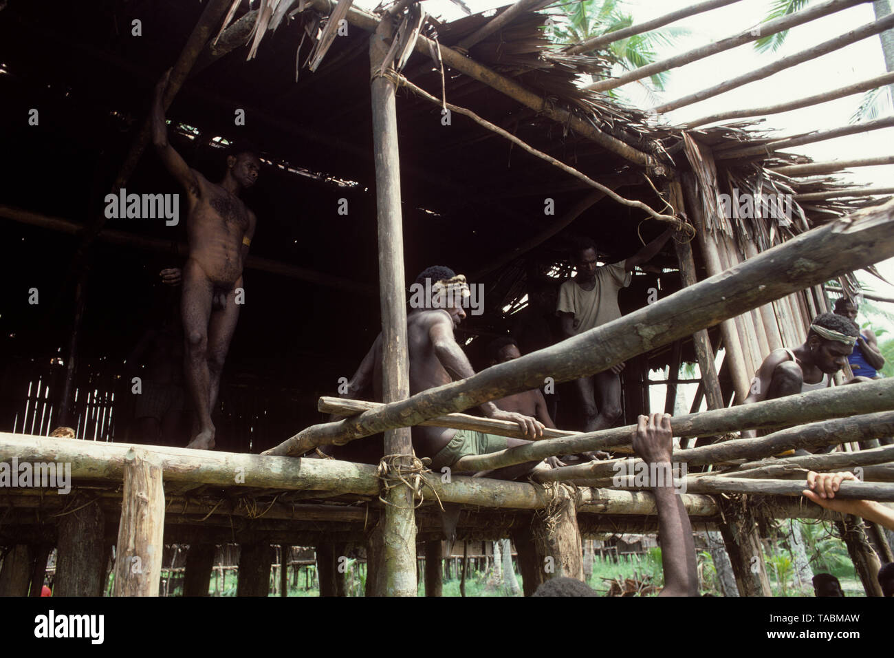 Asmat people: ethnic group living in the Papua province of Indonesia, along the Arafura Sea.  The Long House at Odjanep. Photograph taken by Francois  Stock Photo