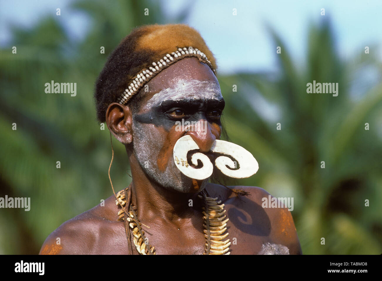 Asmat people: ethnic group living in the Papua province of Indonesia, along the Arafura Sea.  Asmat man, Agats-Sjuru. Photograph taken by Francois Goh Stock Photo