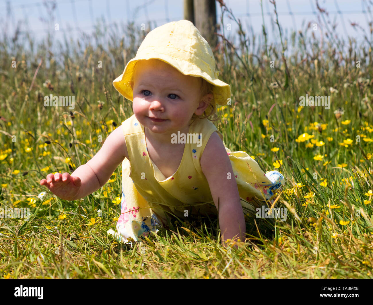 Baby girl crawling in the long grass. Stock Photo