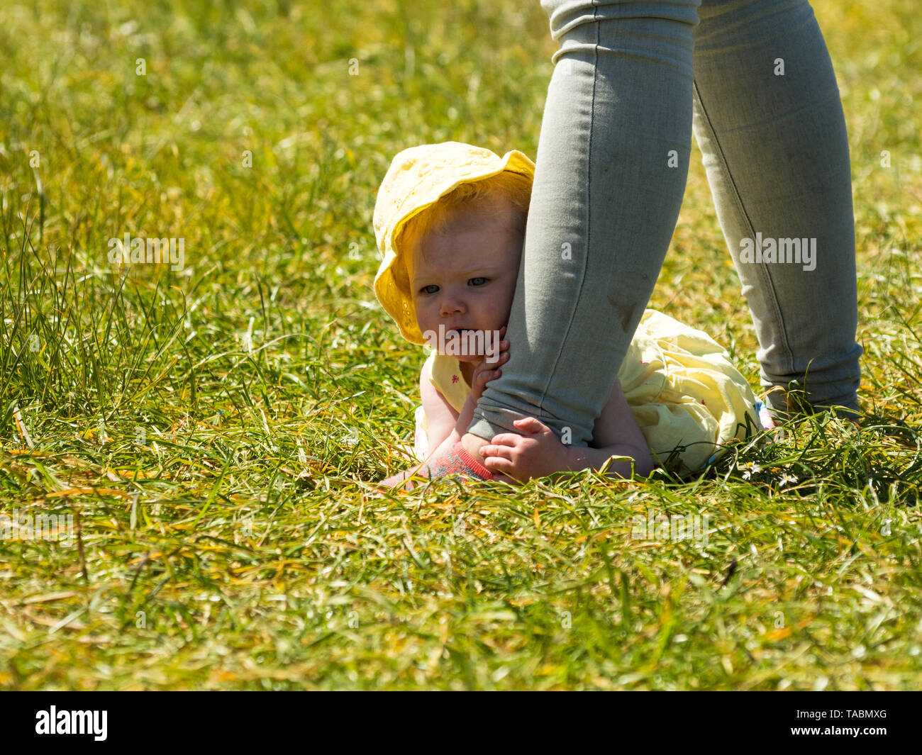 Baby girl hiding behind mummy. Stock Photo