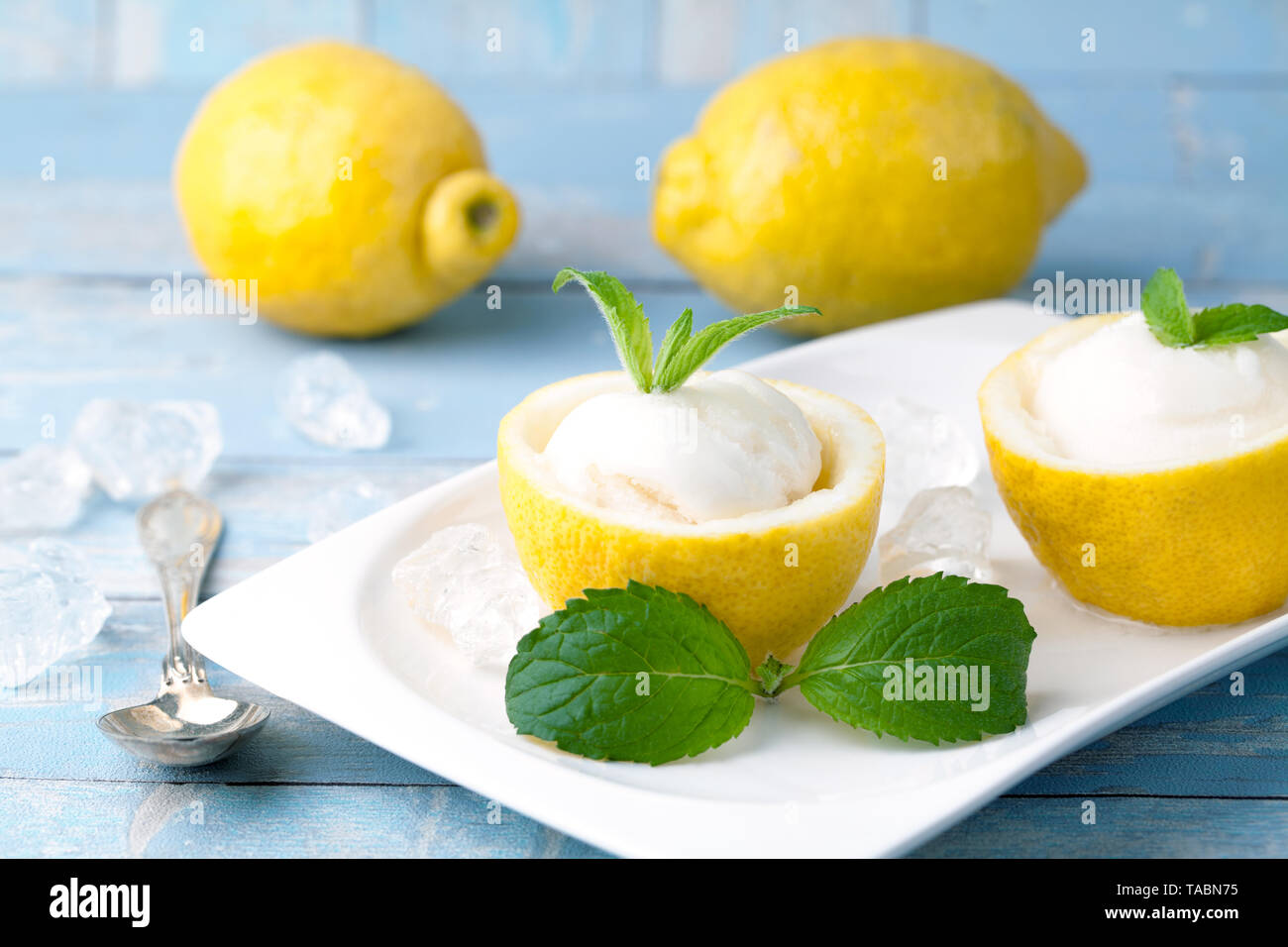 lemon sorbet ice cream with lemons Stock Photo