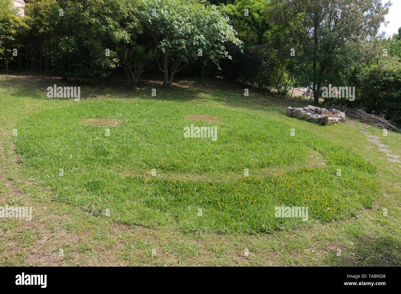 South of France - eco-friendly garden - healthy organic natural lawn - with a lawnmower - giant green grass emoji - smiley face - happy smiling Stock Photo