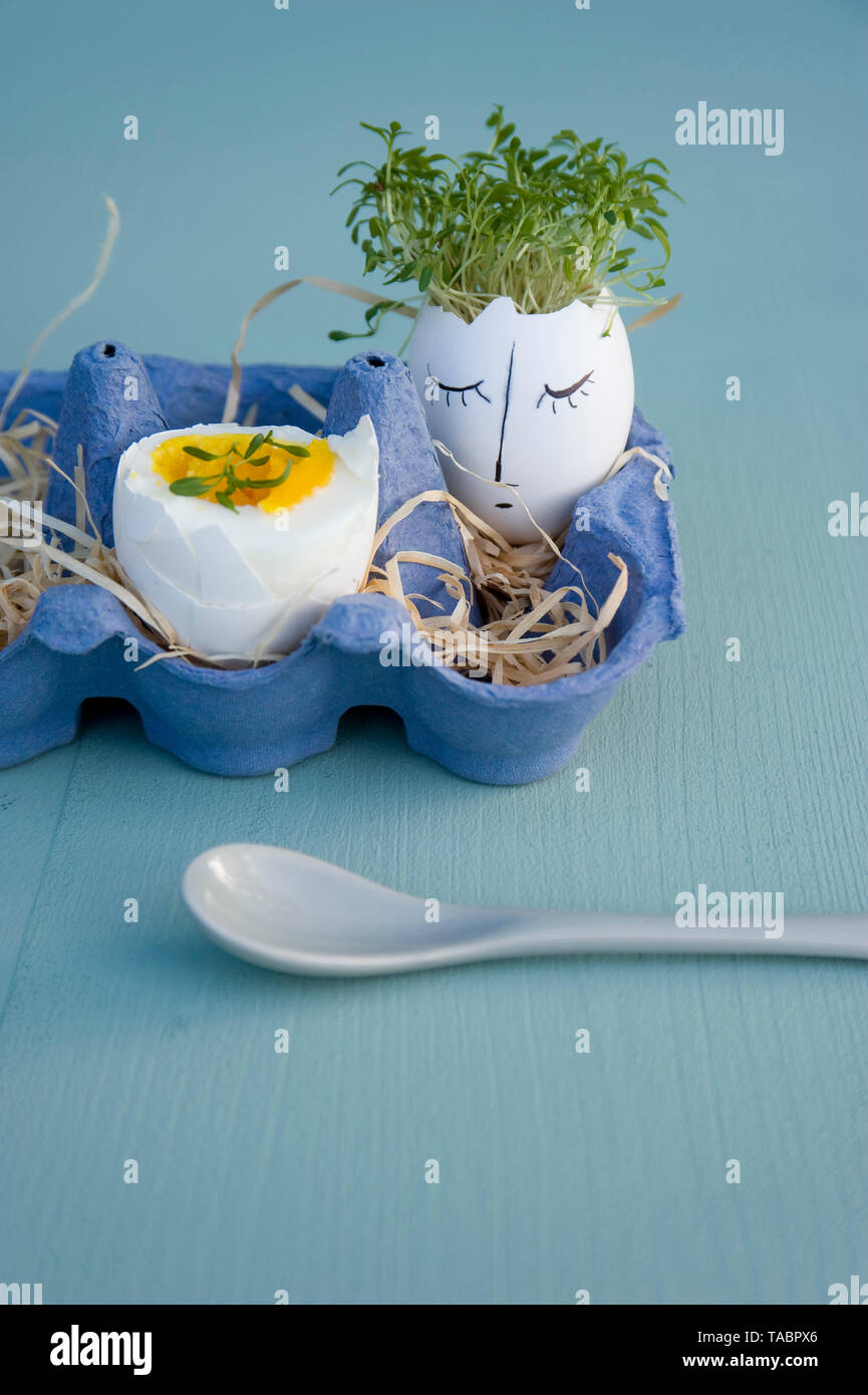 Easter decoration and breakfast egg in egg box Stock Photo