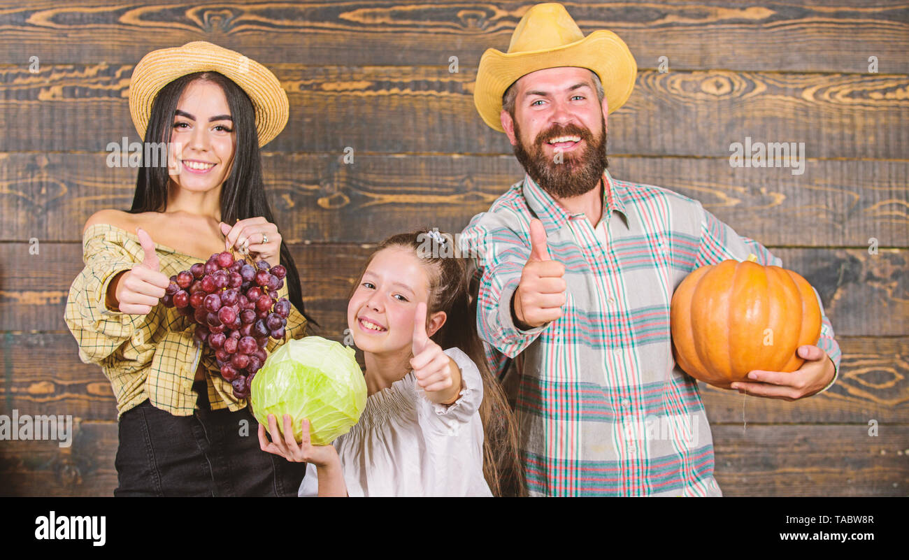 Family rustic style farmers market with fall harvest. Harvest festival ...