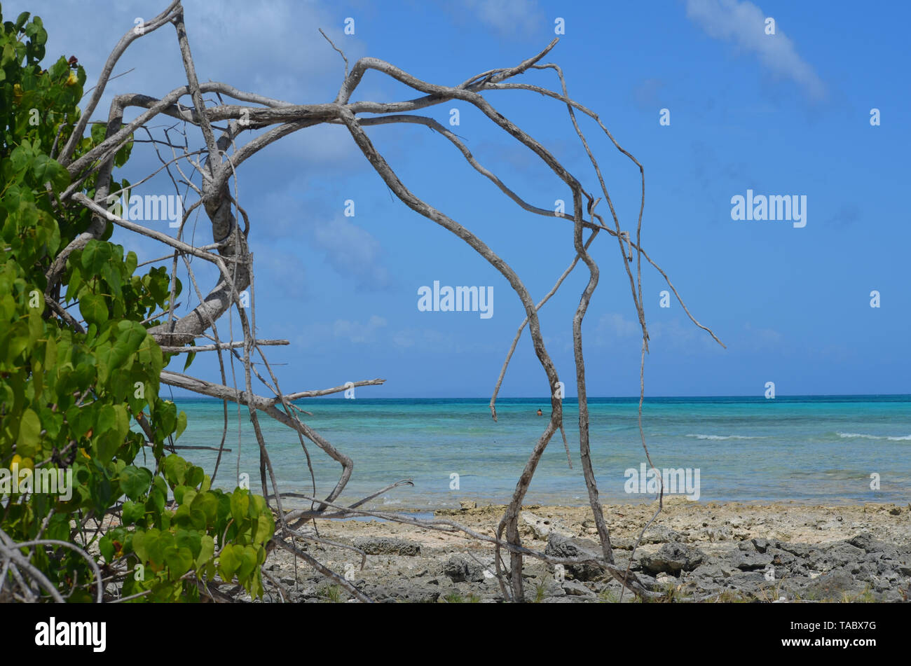 Guardalavaca beach in Southern Cuba, currently threatened by an unsustainable massive tourism model Stock Photo