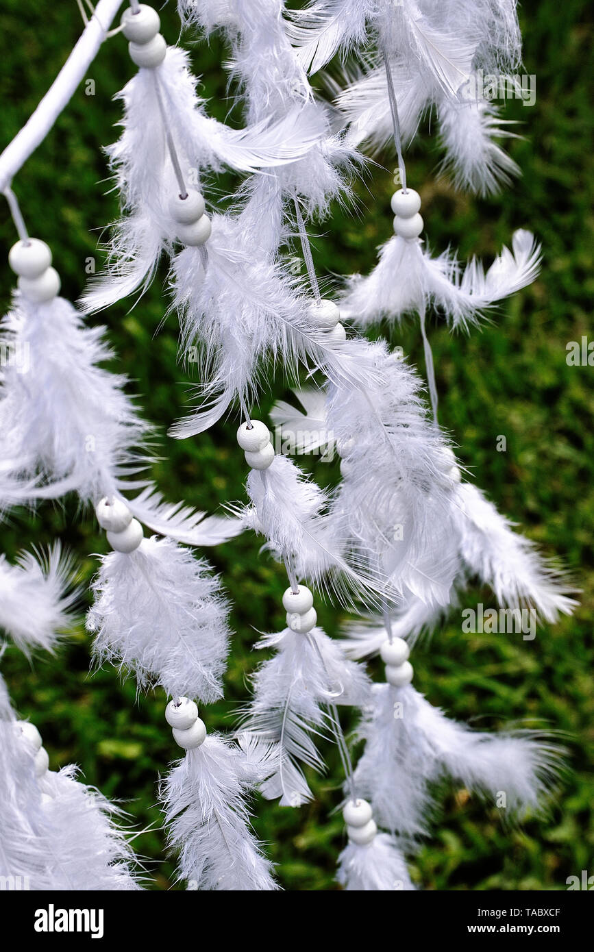 White feathers of a dove bird tied with leather string from dream catcher Stock Photo