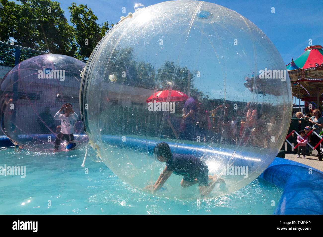 Children / kids enjoy rolling on the surface of a pool of water in inflatable  balls called waterwalkerz which allow people to walk on water in a human  hamster ball. (99 Stock