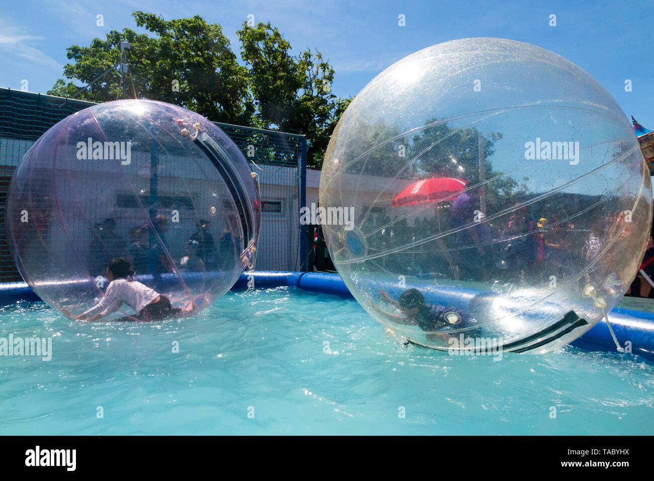 toddler hamster ball