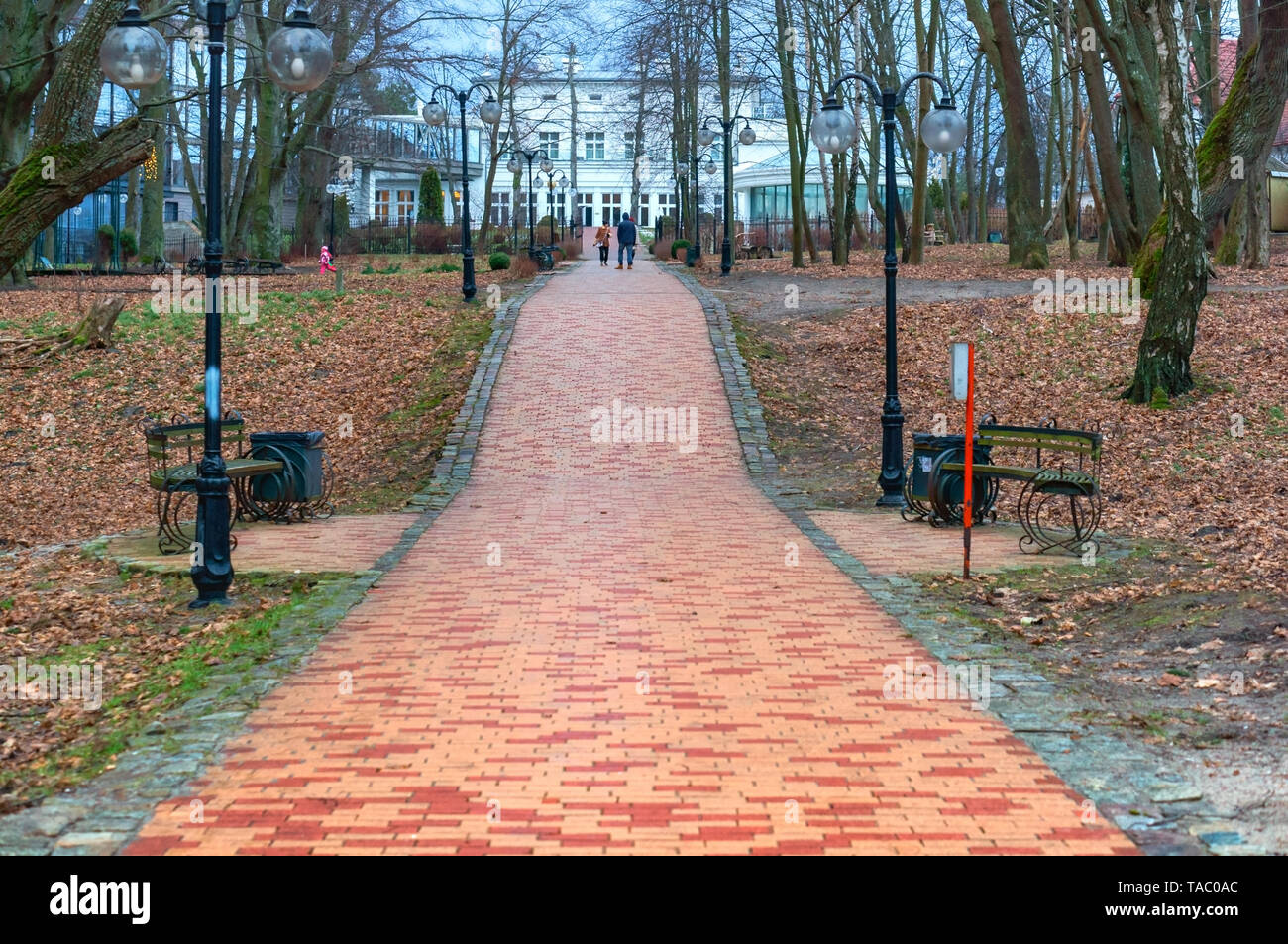 red tile path in the Park, walking path in the spring Park, Yantarny village, Kaliningrad region, Russia, January 20, 2019 Stock Photo