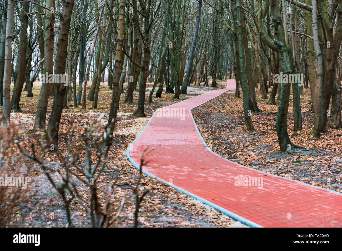 Garden red brick path hi-res stock photography and images - Alamy
