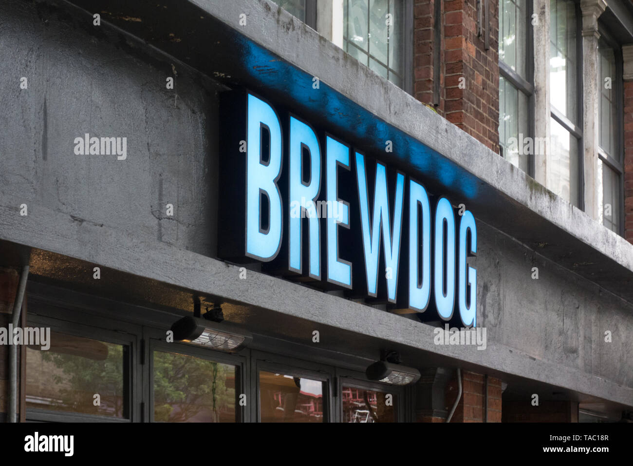 Brewdog illuminated logo sign on a Brewdog bar in Clerkenwell, London, UK Stock Photo