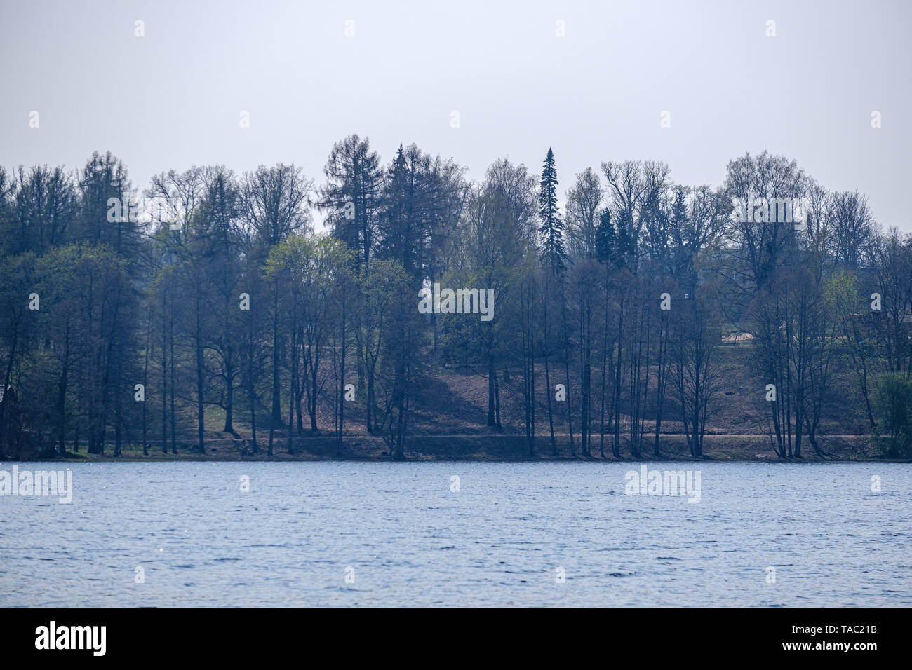 riverside shore in spring with scenic trees and green pastures. calm ...