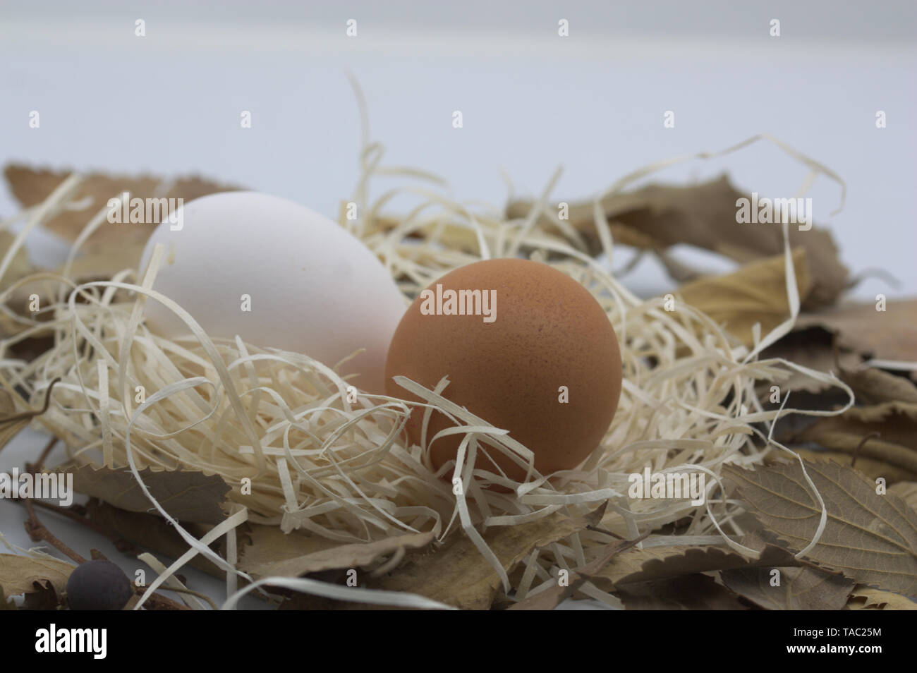 White and brown eggs among a pile of straw simulating a nest in a ...