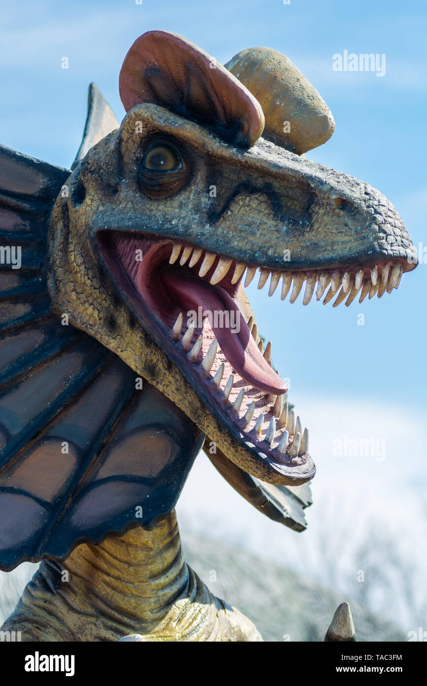 Colorful dinosaurs showing great detail and texture Stock Photo - Alamy