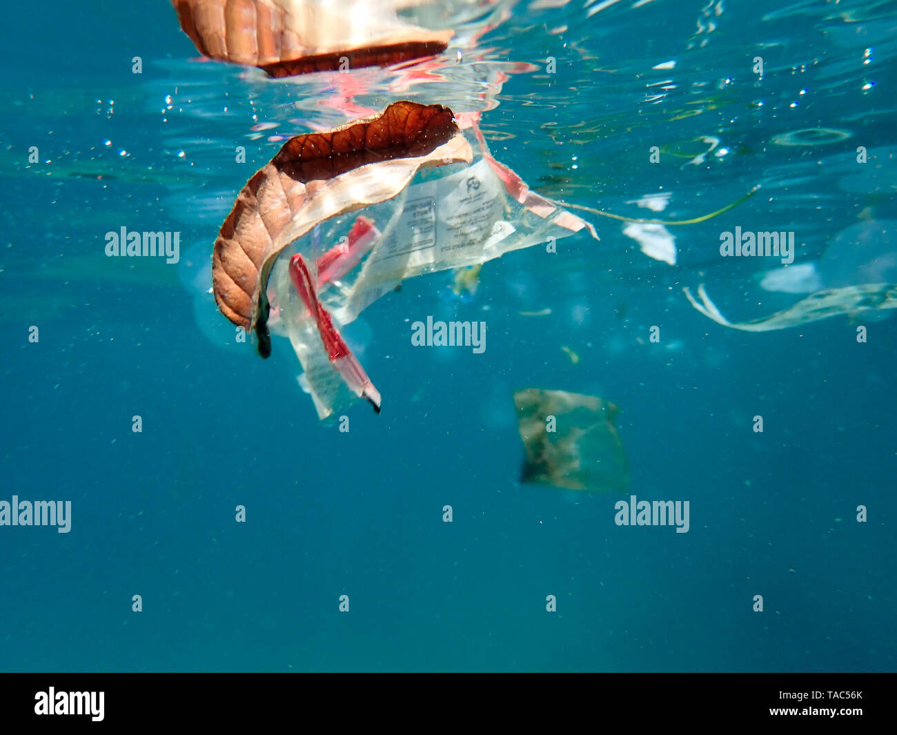 Plastic waste floating in the sea Stock Photo