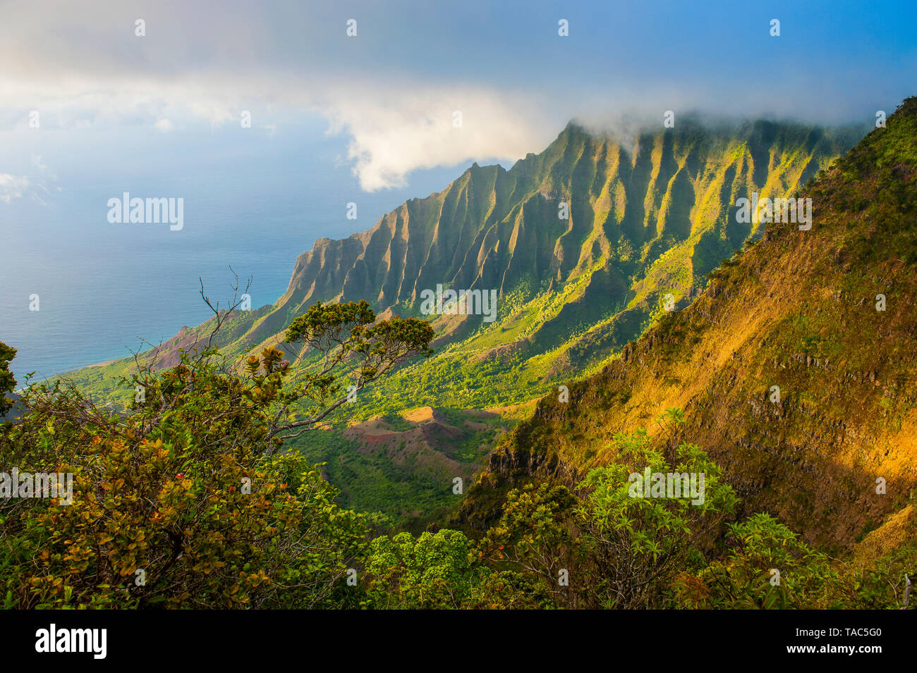 USA, Hawaii, Kalalau lookout over the Napali coast from the Kokee state