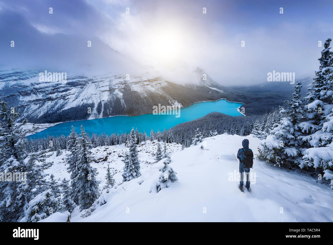 Canada, Alberta, Banff National Park, Peyto Lake, man enjoying view Stock Photo