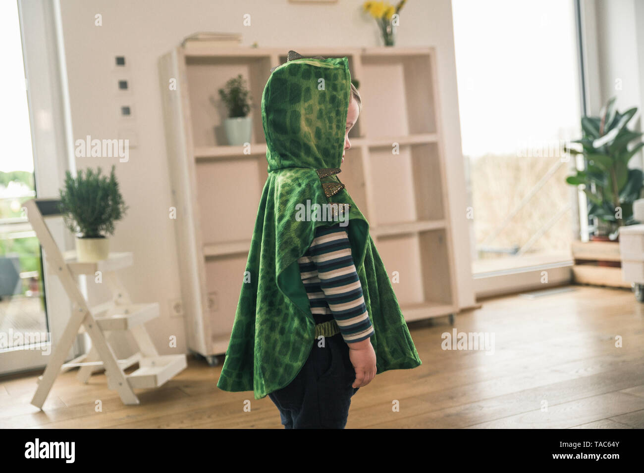 Boy in a crocodile costume at home Stock Photo