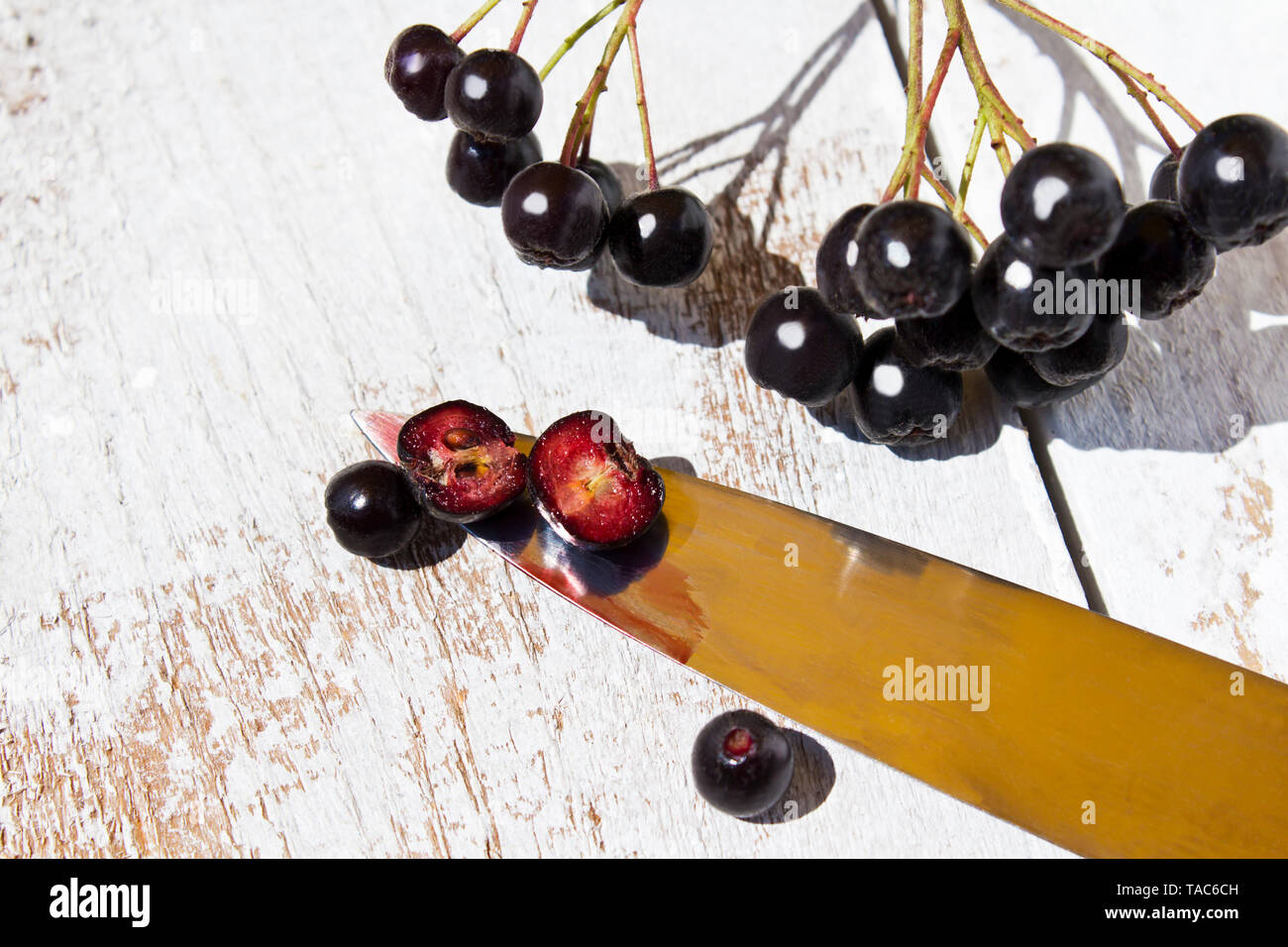 Aronia berrie on white wood, close up Stock Photo
