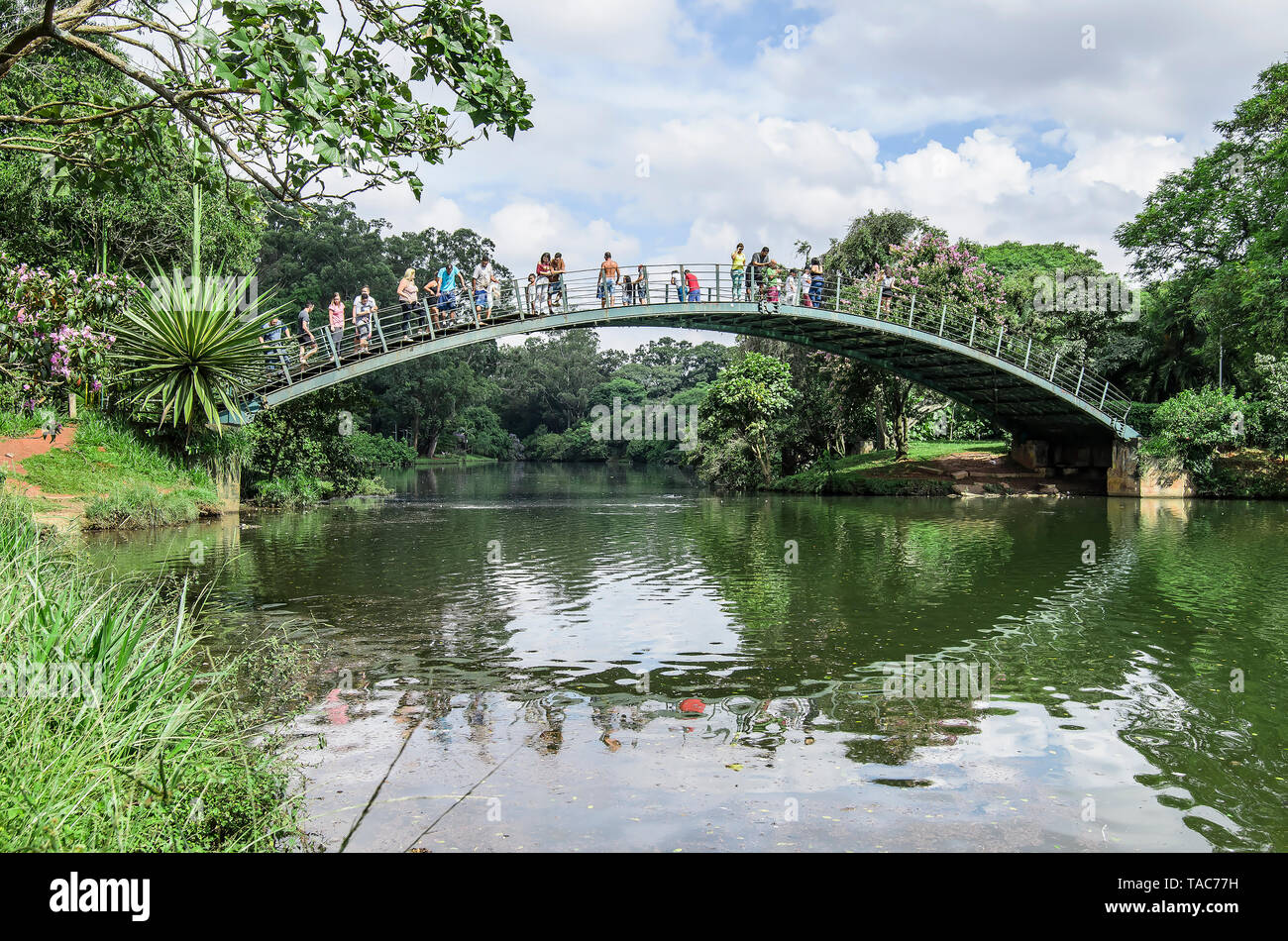 Sao Paulo SP, Brazil - March 02, 2019: Arched metal bridge above the lake of the Ibirapuera park. Bridge known as Ponte Metalica or Ponte Japonesa. Stock Photo