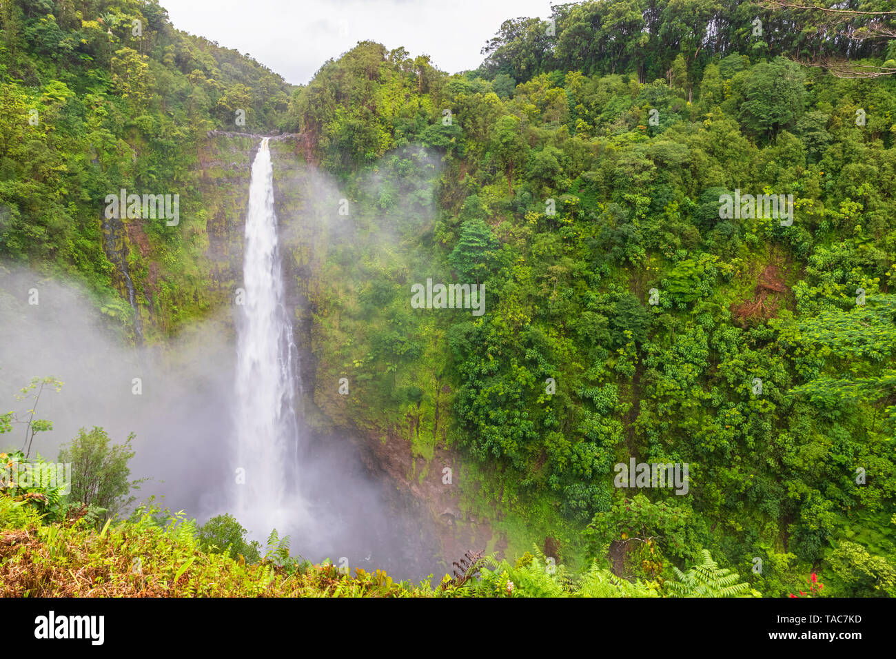 USA, Hawaii, Big Island, Akaka Falls State Park, Akaka Falls and Kolekole Stream Stock Photo