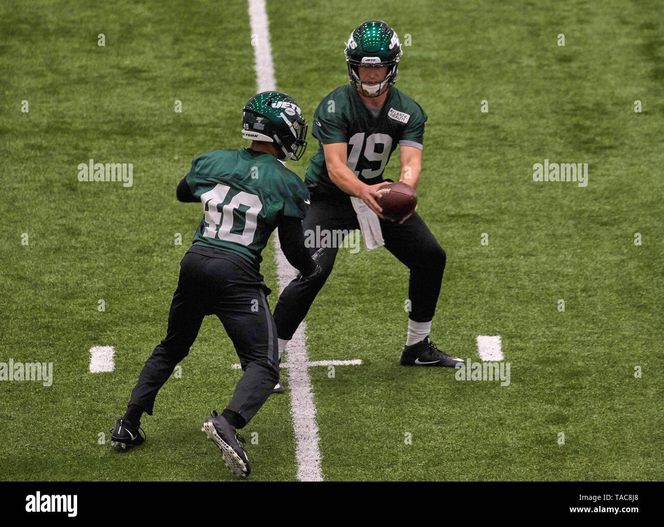 Trevor park hi-res stock photography and images - Page 10 - Alamy