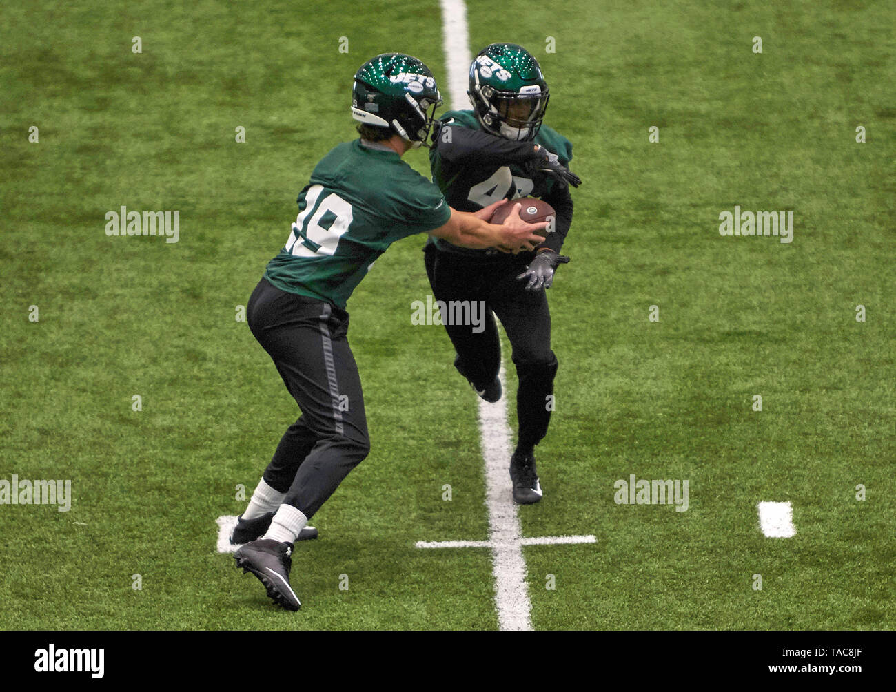 Trevor park hi-res stock photography and images - Page 10 - Alamy