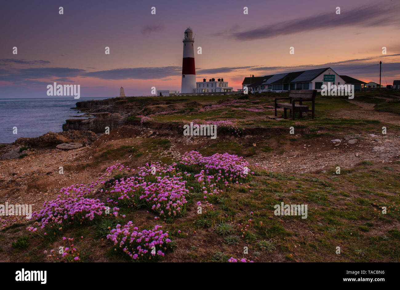 Portland, Dorset, UK. 23rd May 2019. UK Weather: The sun sets behind the iconic Portland Bill lighthouse on the Isle of Portland at the end of a beautiful spring day.  The delicate pink sea thrift flowers are in full bloom making the lighthouse particularly pictureseque at this time of year.  Credit: Celia McMahon/Alamy Live News. Stock Photo